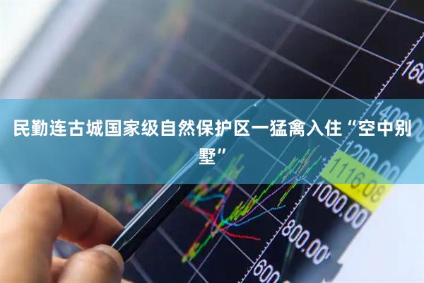 民勤连古城国家级自然保护区一猛禽入住“空中别墅”